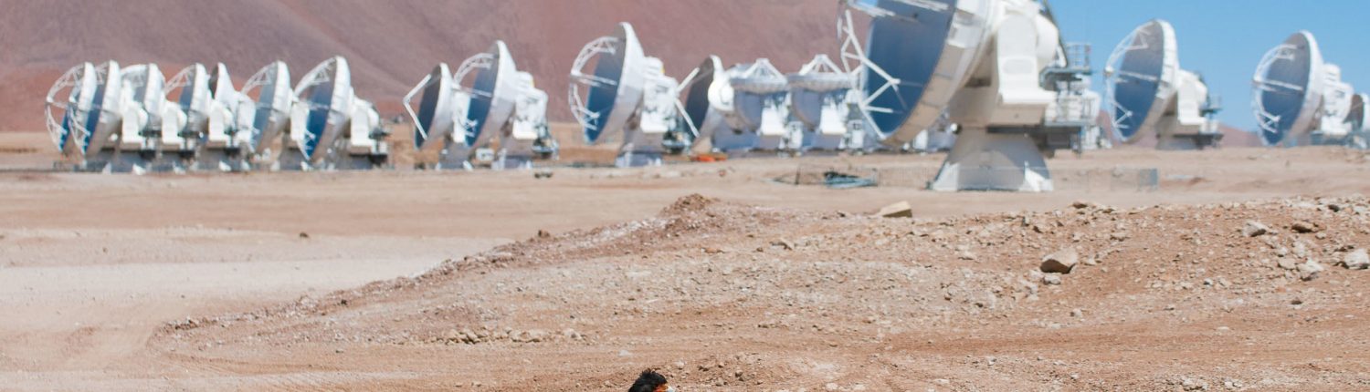 ALMA antennas