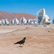 ALMA antennas