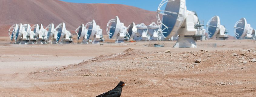 ALMA antennas