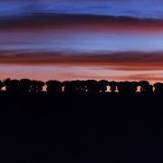 Night picture of the ALMA array